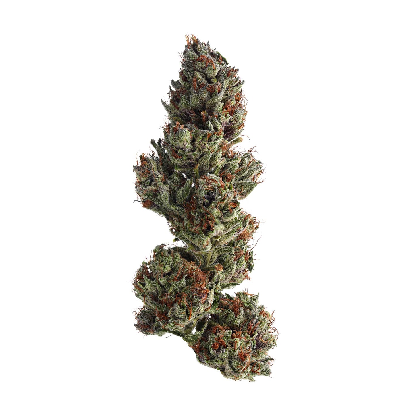 8 Pavé Runtz Indica THCa Pre-Rolls